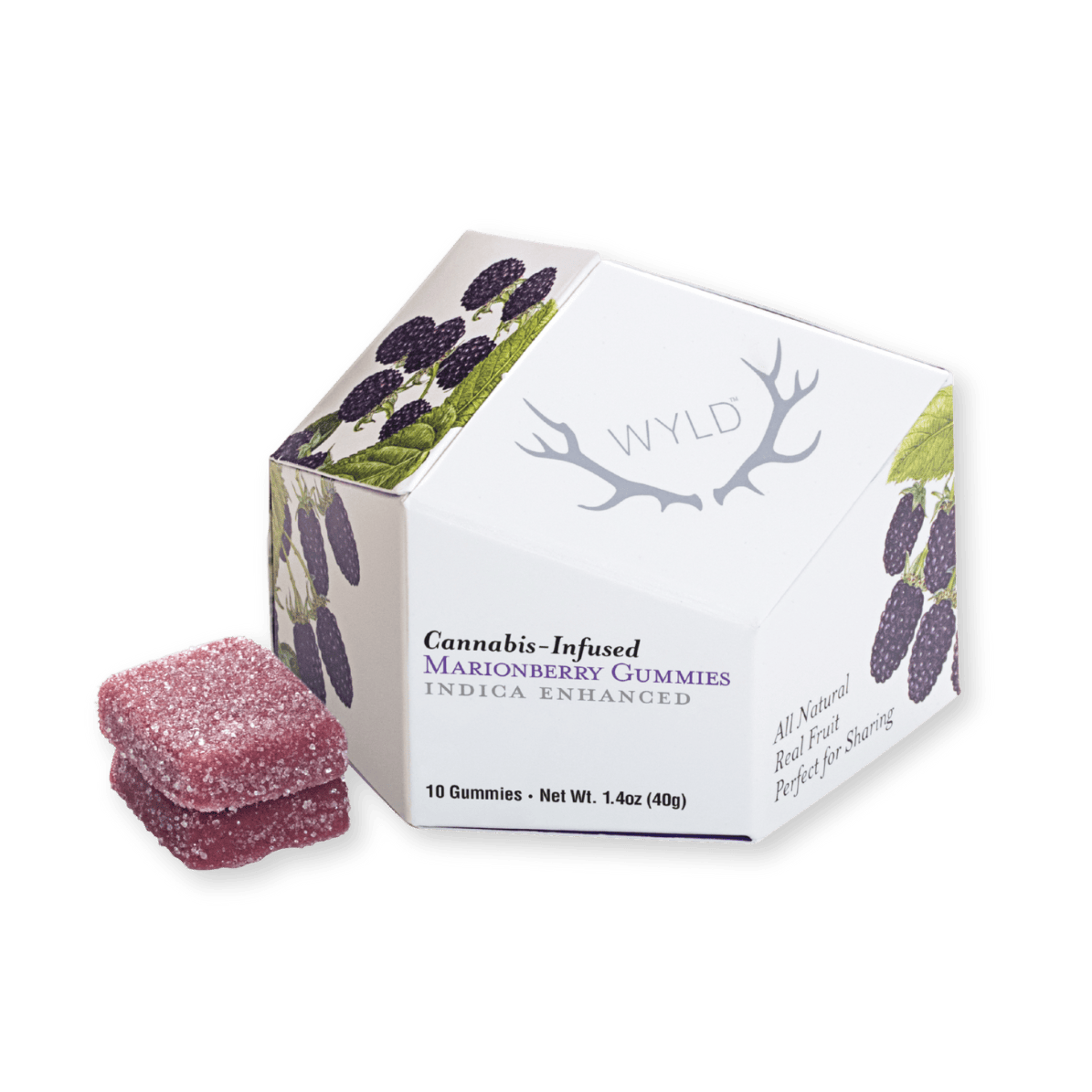 GUMMY | MARIONBERRY | 100MG | 10PK