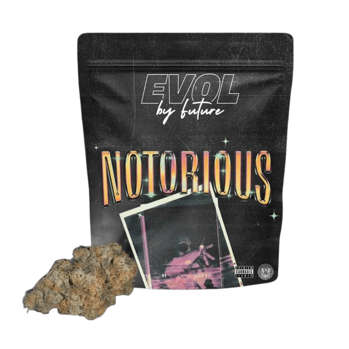 NOTORIOUS #1 | 1G