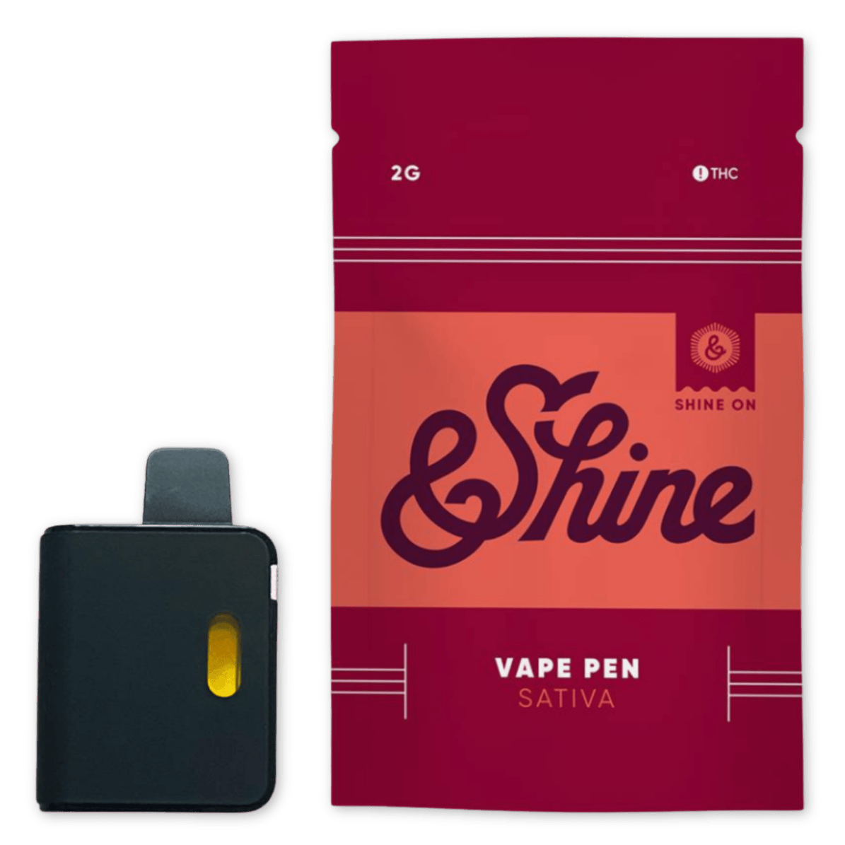 DISPOSABLE | GHOST TRAIN HAZE | 2G