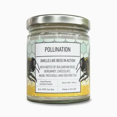 CANDLE | POLLINATION | 8OZ