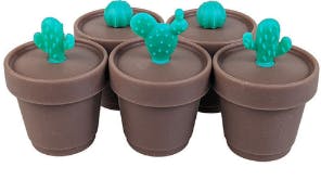 BABY CACTUS SILICONE DAB JAR