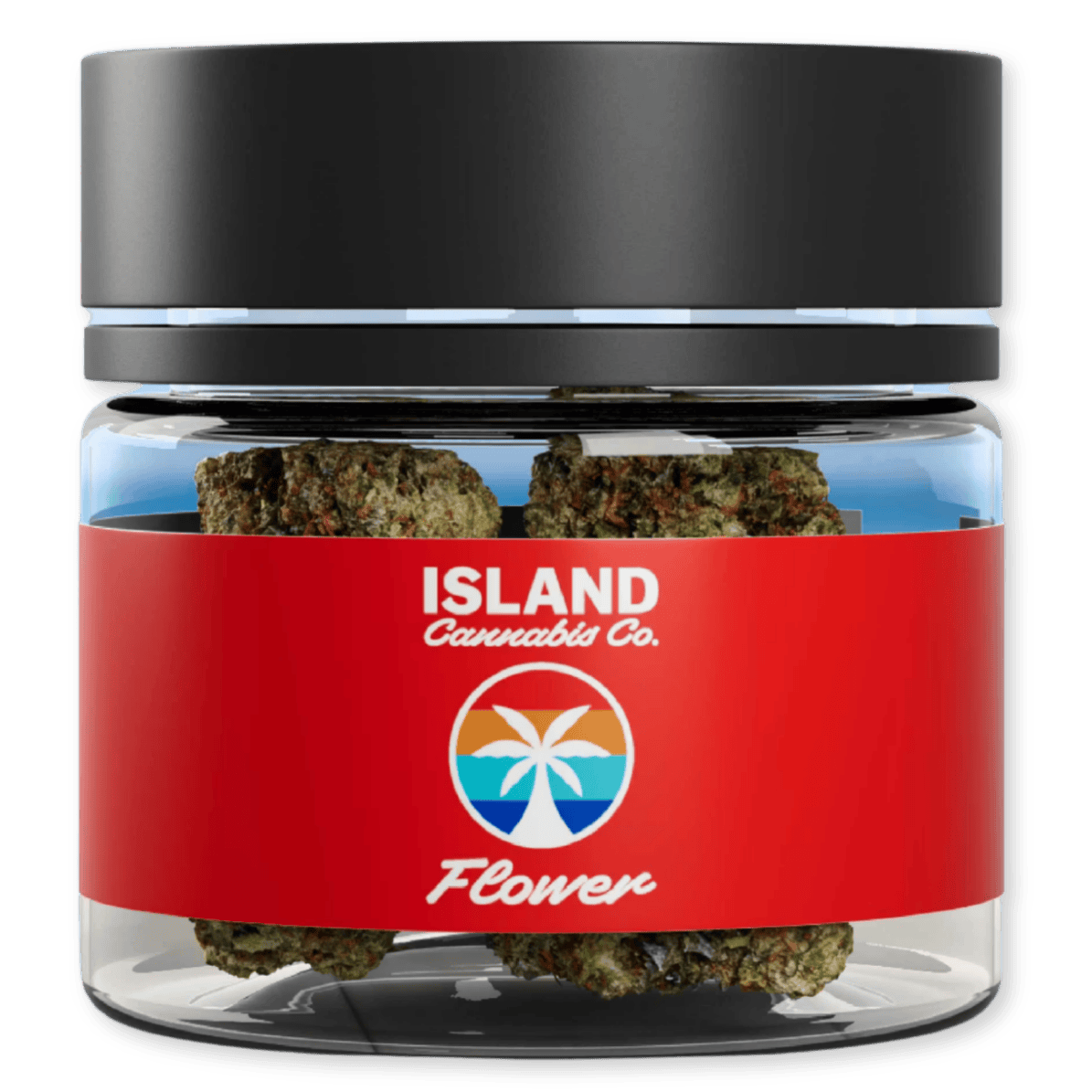 MARZ | 3.5G