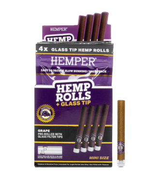 HEMP CONES WITH GLASS TIP | GRAPE | MINI | 4PK
