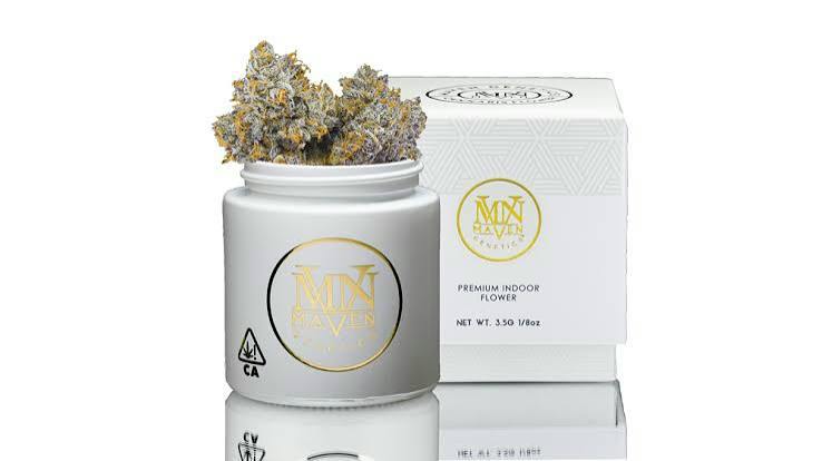 Maven Genetics: Orange Bellini