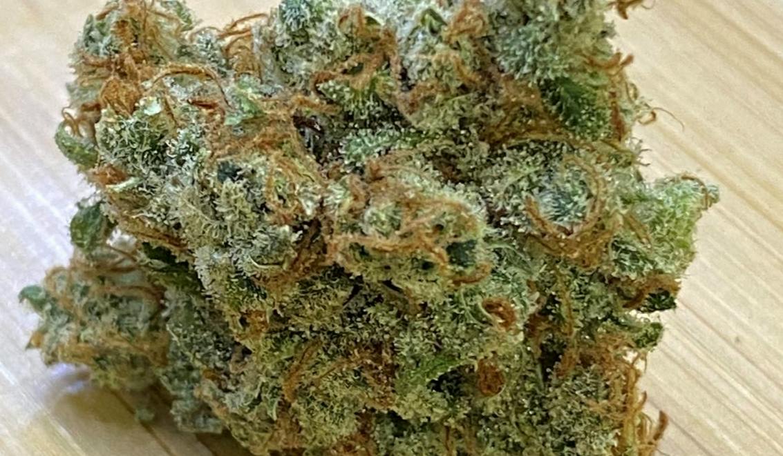 Focus North - Colorado Sunshine - Cannabis Flower