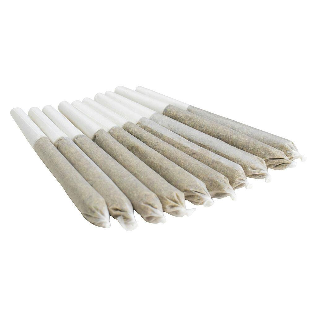 EastCann - Gastro Pop Pre-Roll - 10x0.5g