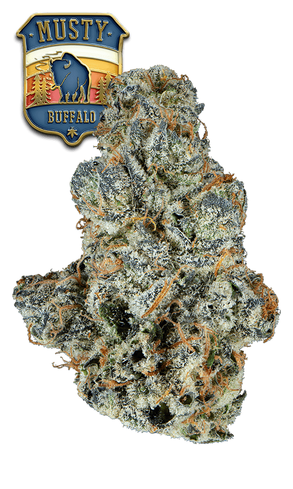 Musty Buffalo