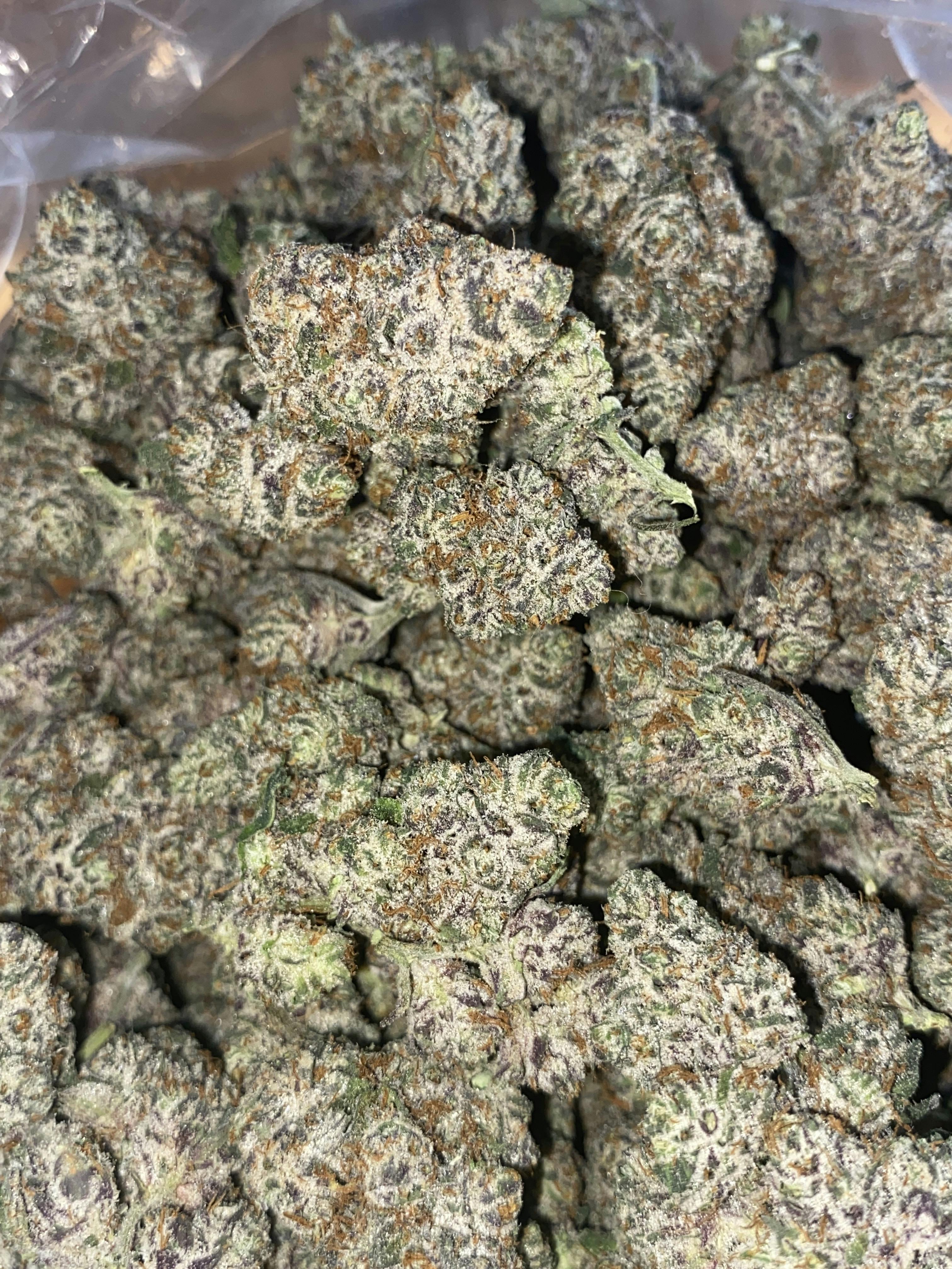 Zombie Sprinkles | Premium Flower