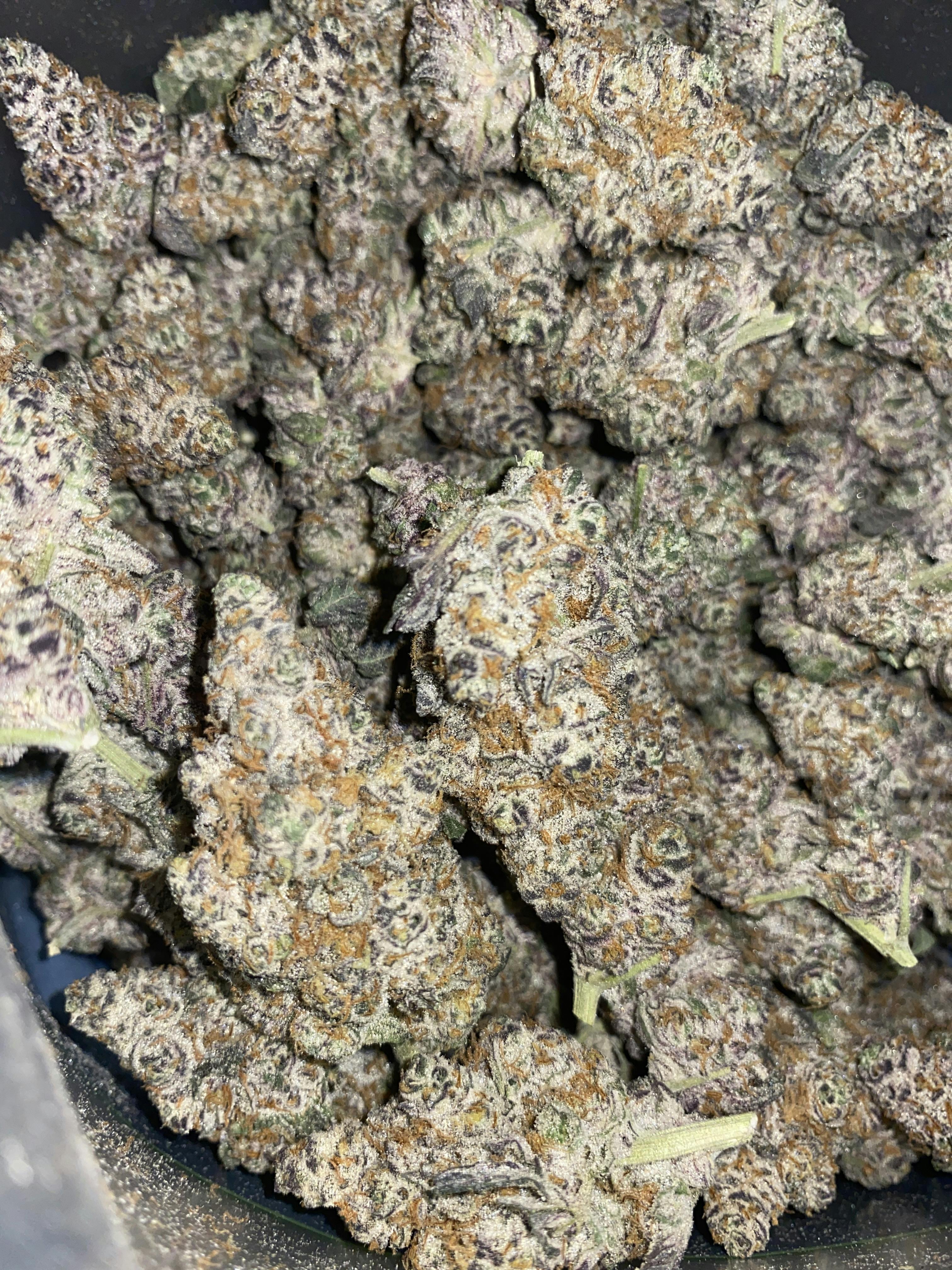 Garlic Breath | Premium Flower