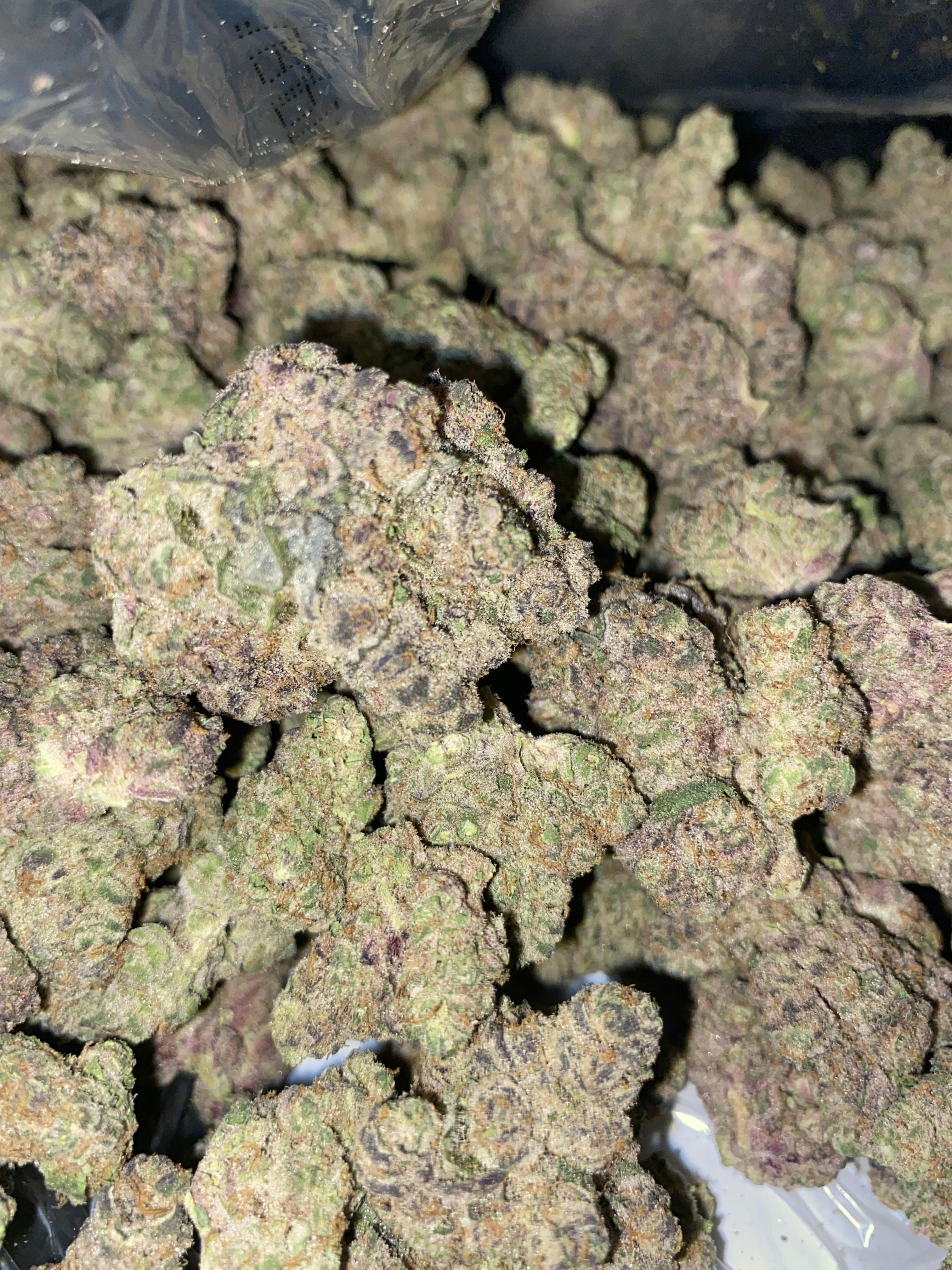 Sin & Juice | Premium Flower