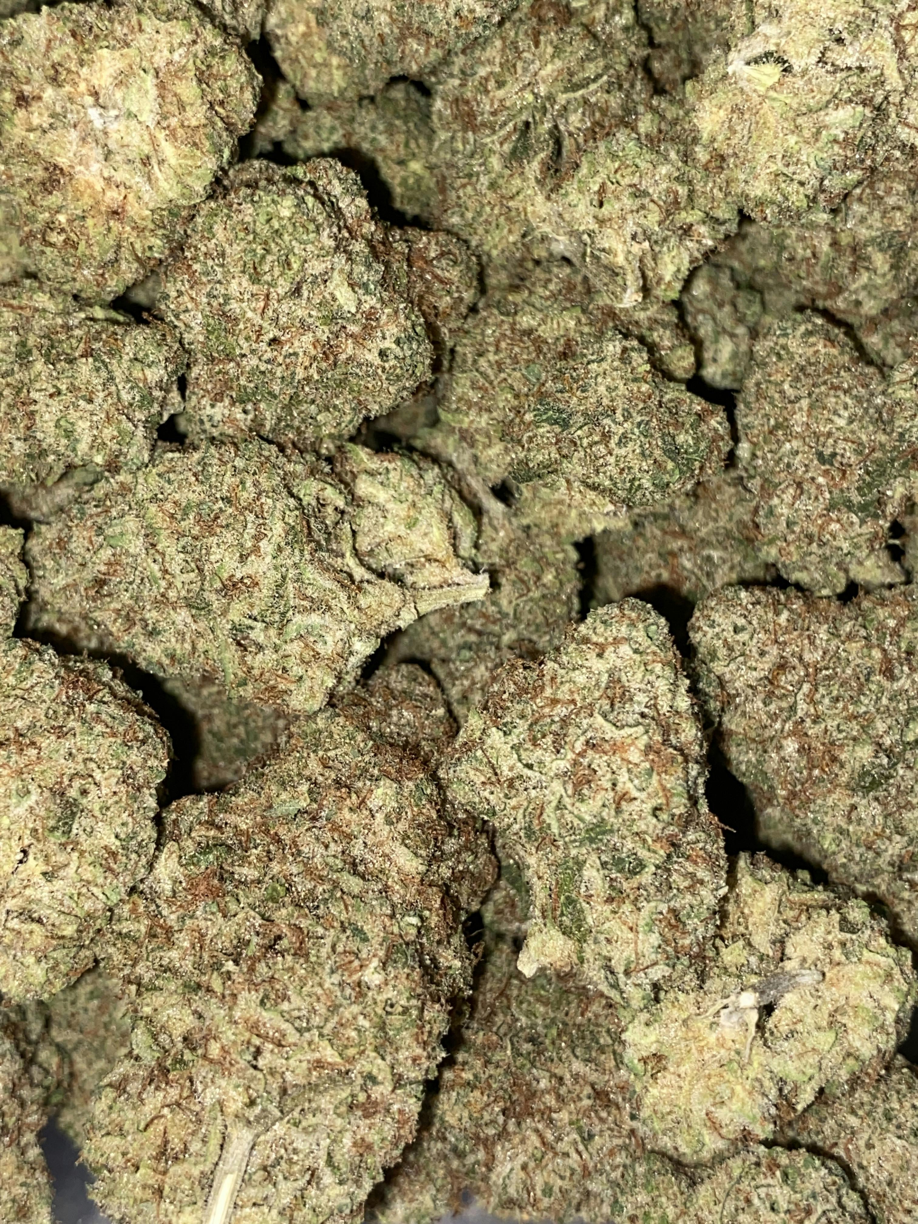 Lemon Drop | Premium Flower