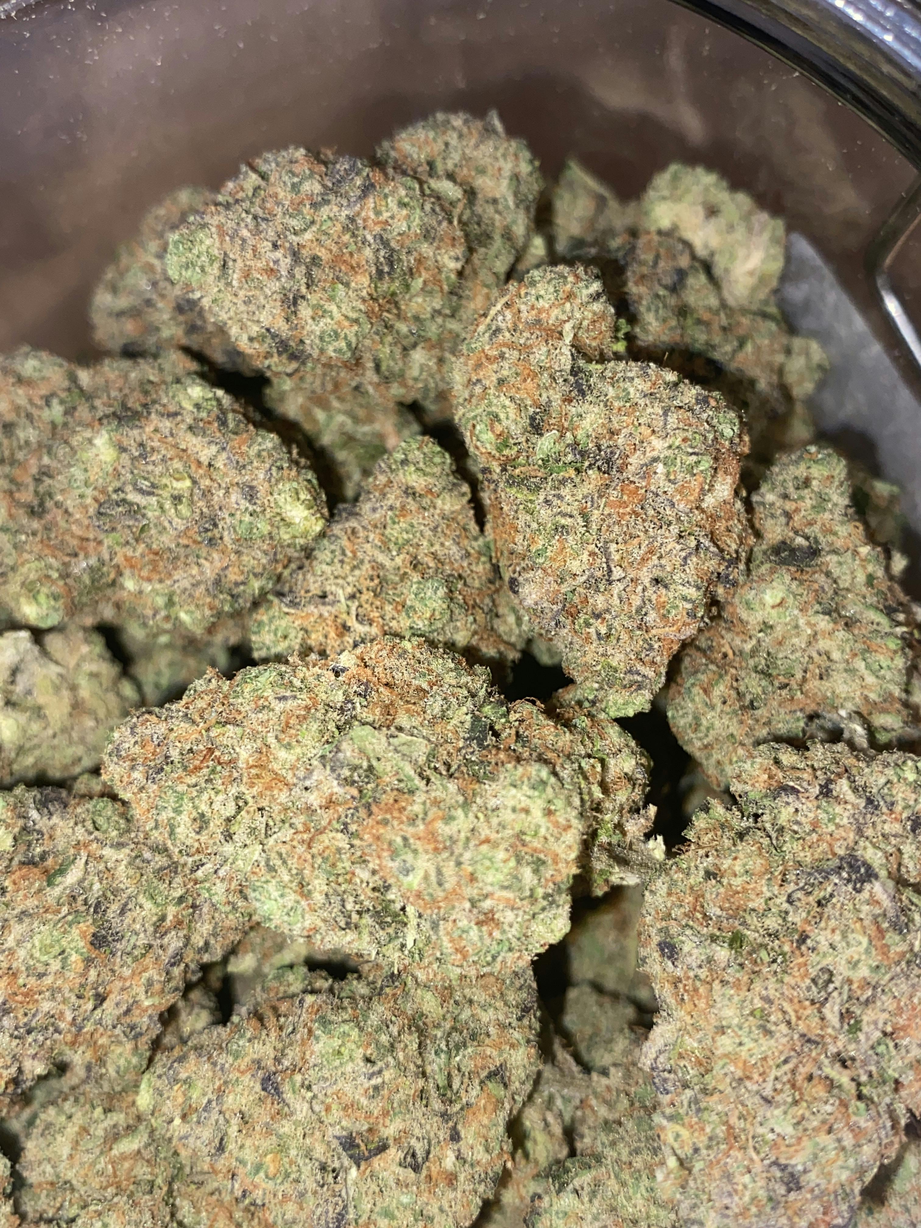 Gelato | Premium Flower