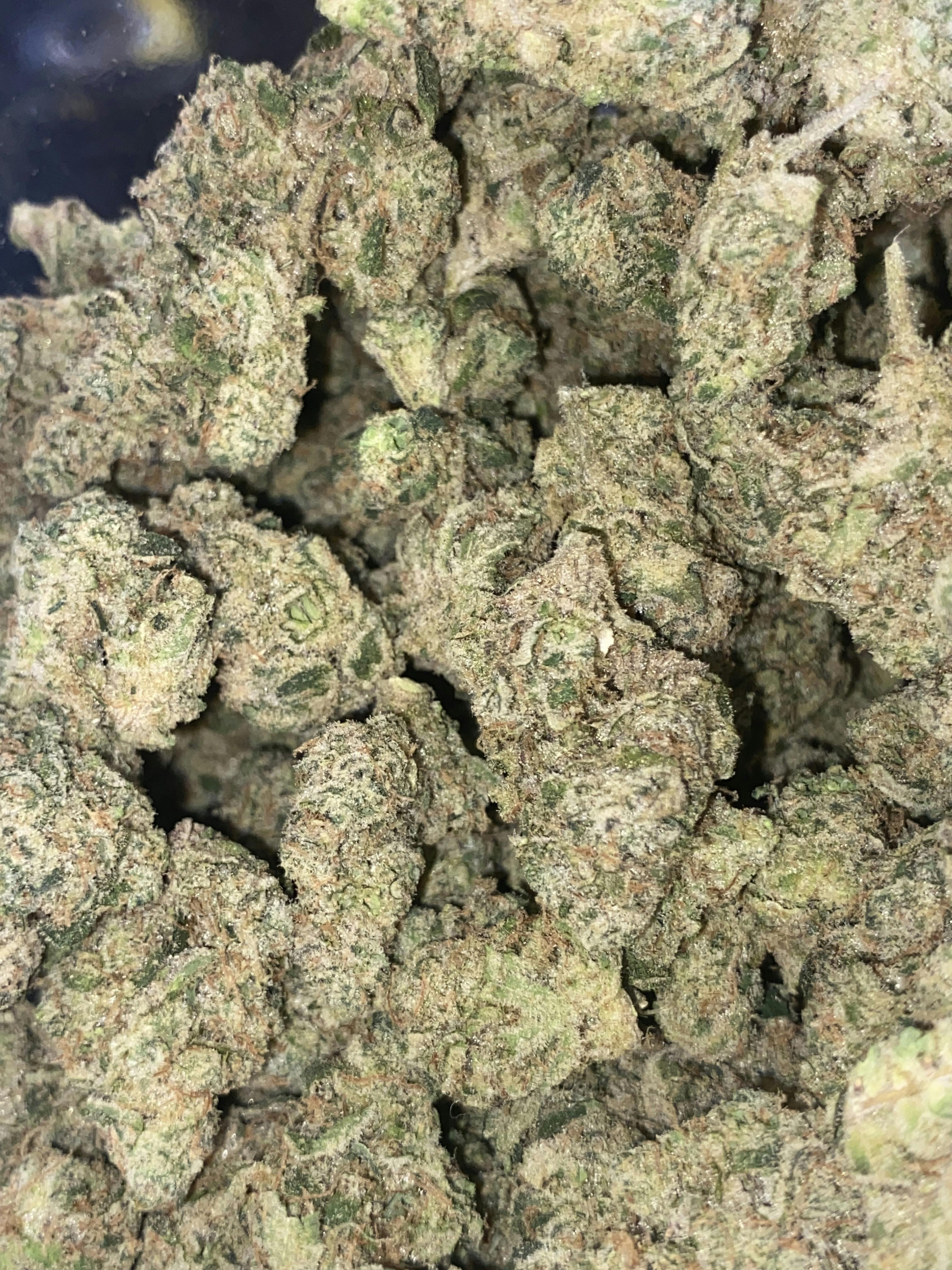 Nanas Puddin | Premium Flower