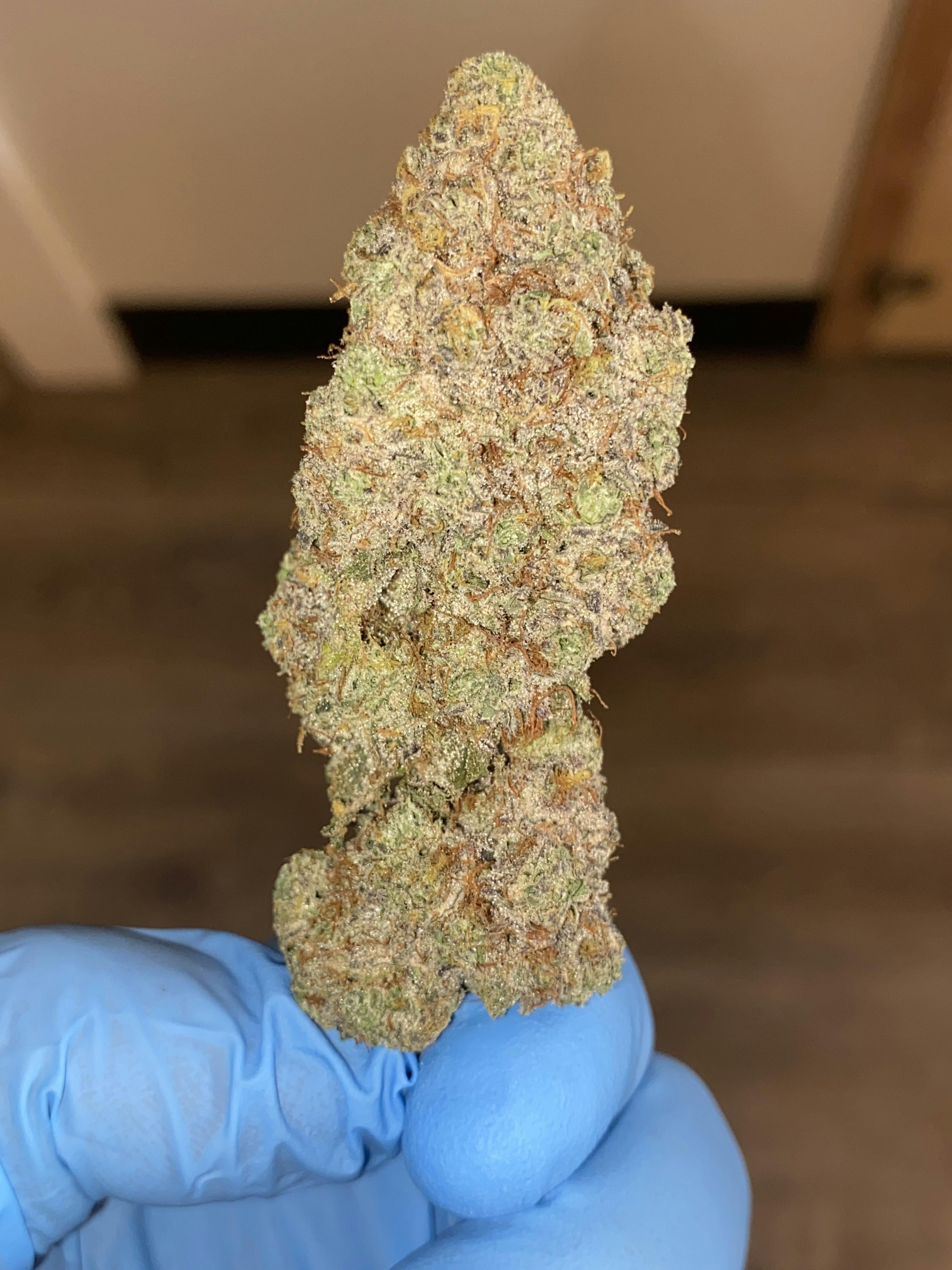 Mutsu Apple | Premium Flower