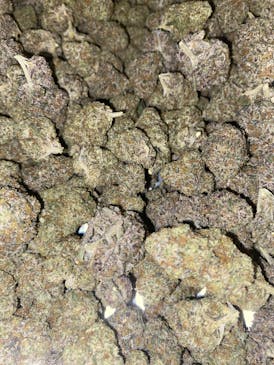 Permanent Marker | Premium Flower | 28g