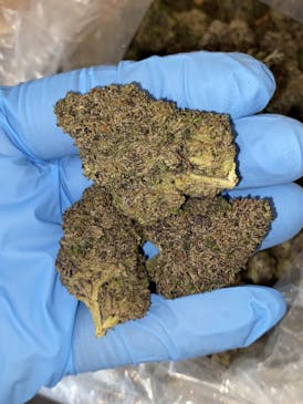 Sherb Cream Pie | Top Shelf | 14g