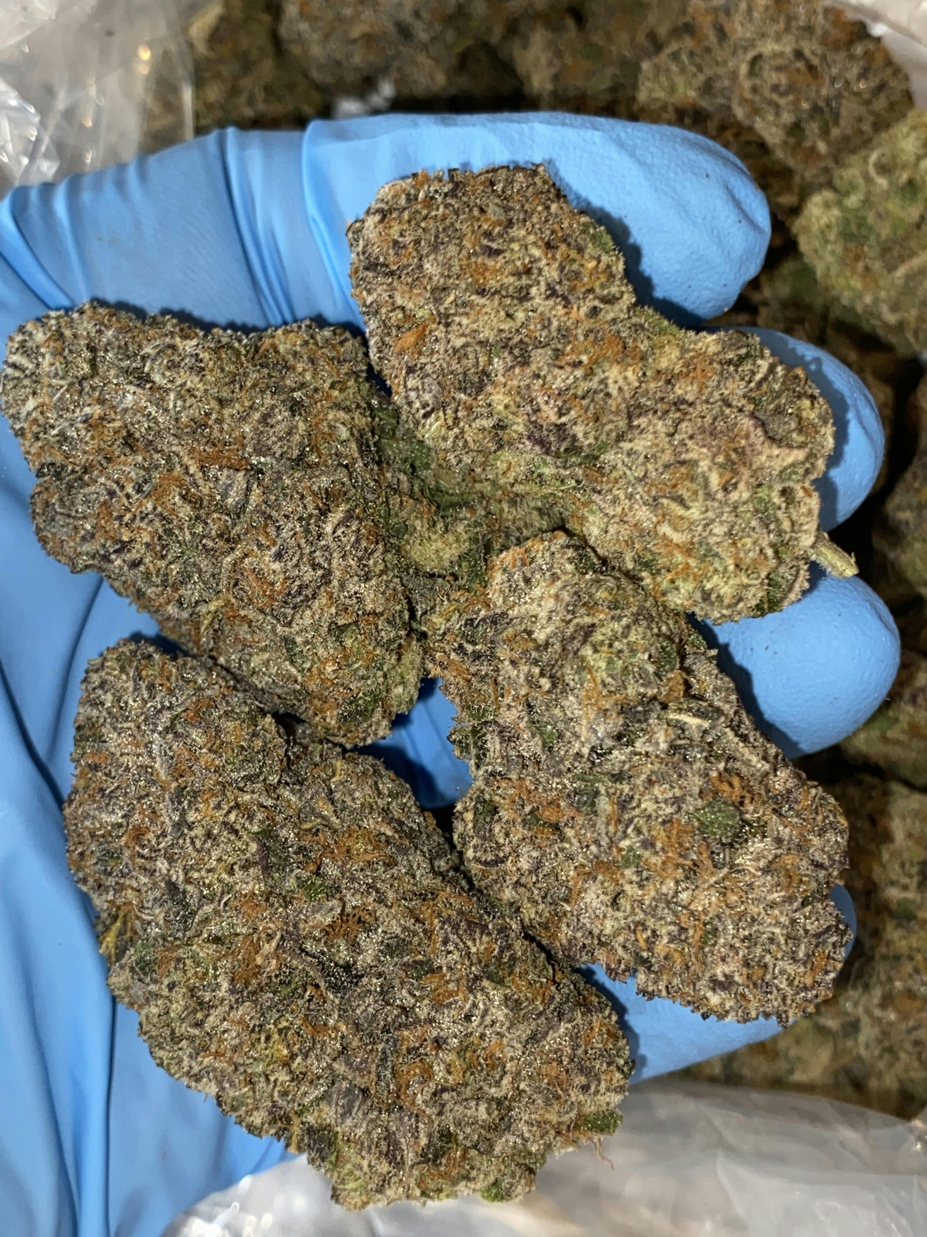 Pineapple Whip | Top Shelf