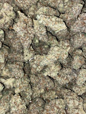 Zeal | Premium Flower | 7g