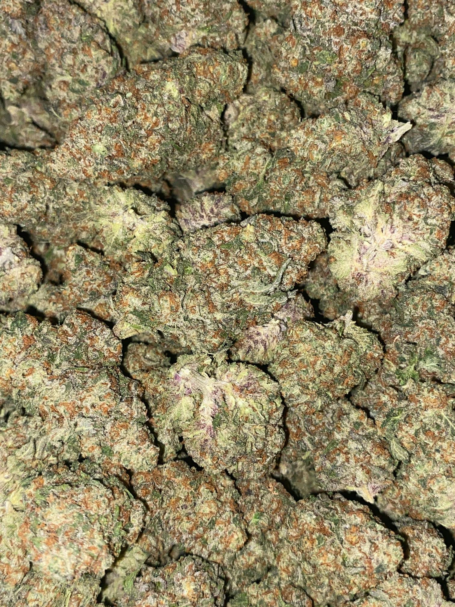 Train Wreck | Premium Flower | The Green Well