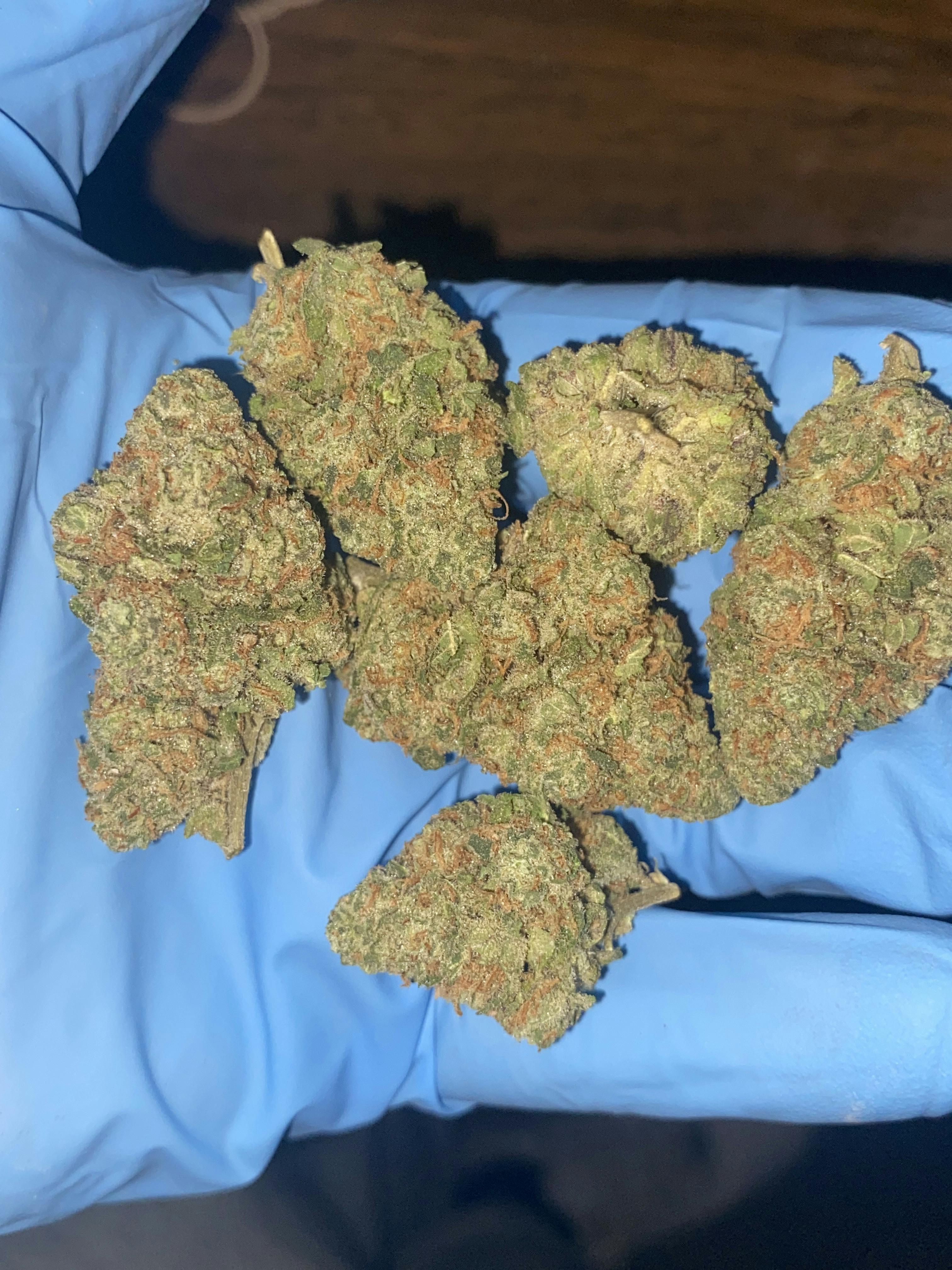 Hawaiian Shortbread | Premium Flower | The Green Well