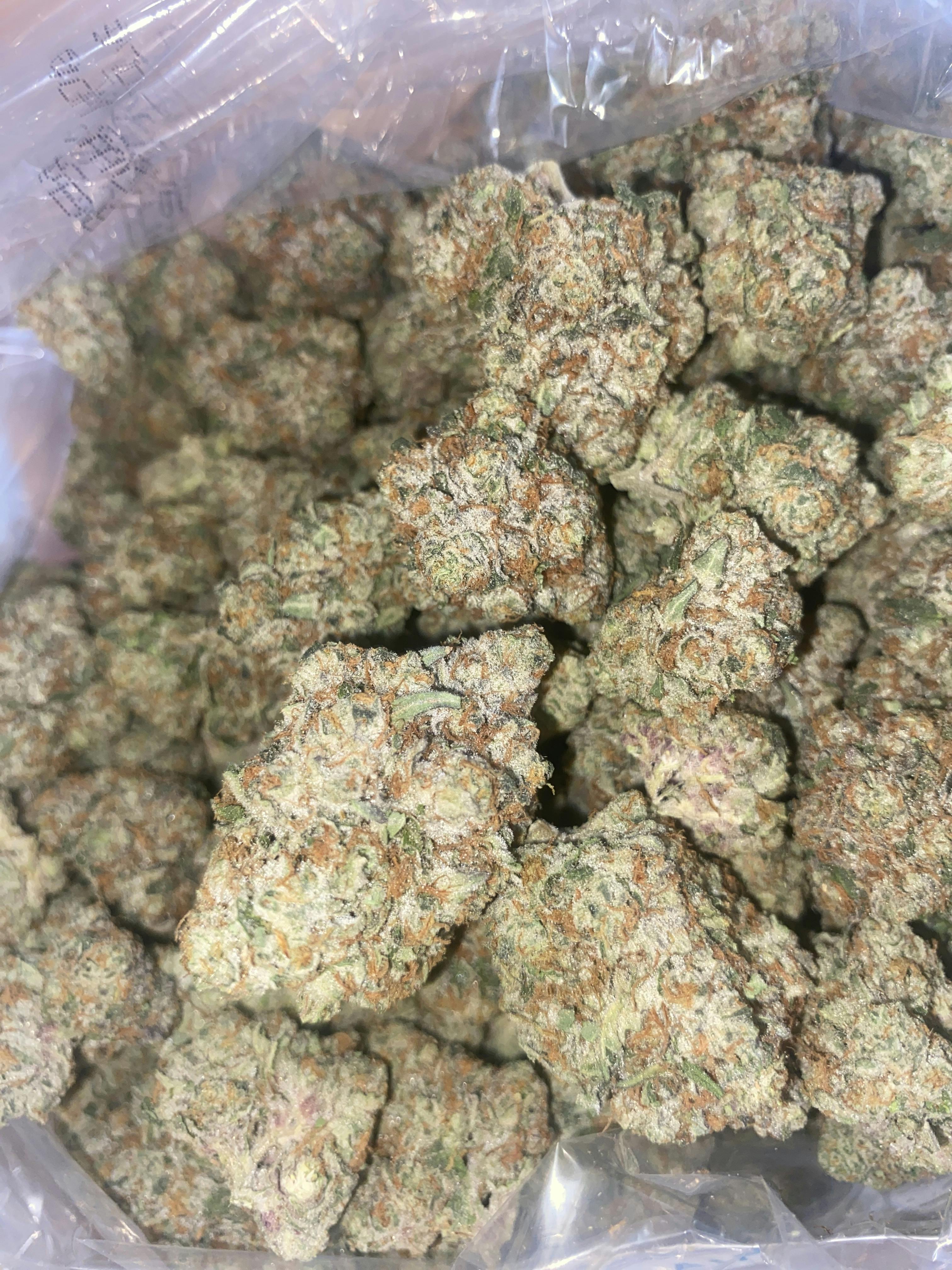 Georgia Pie | Premium Flower | The Green Well