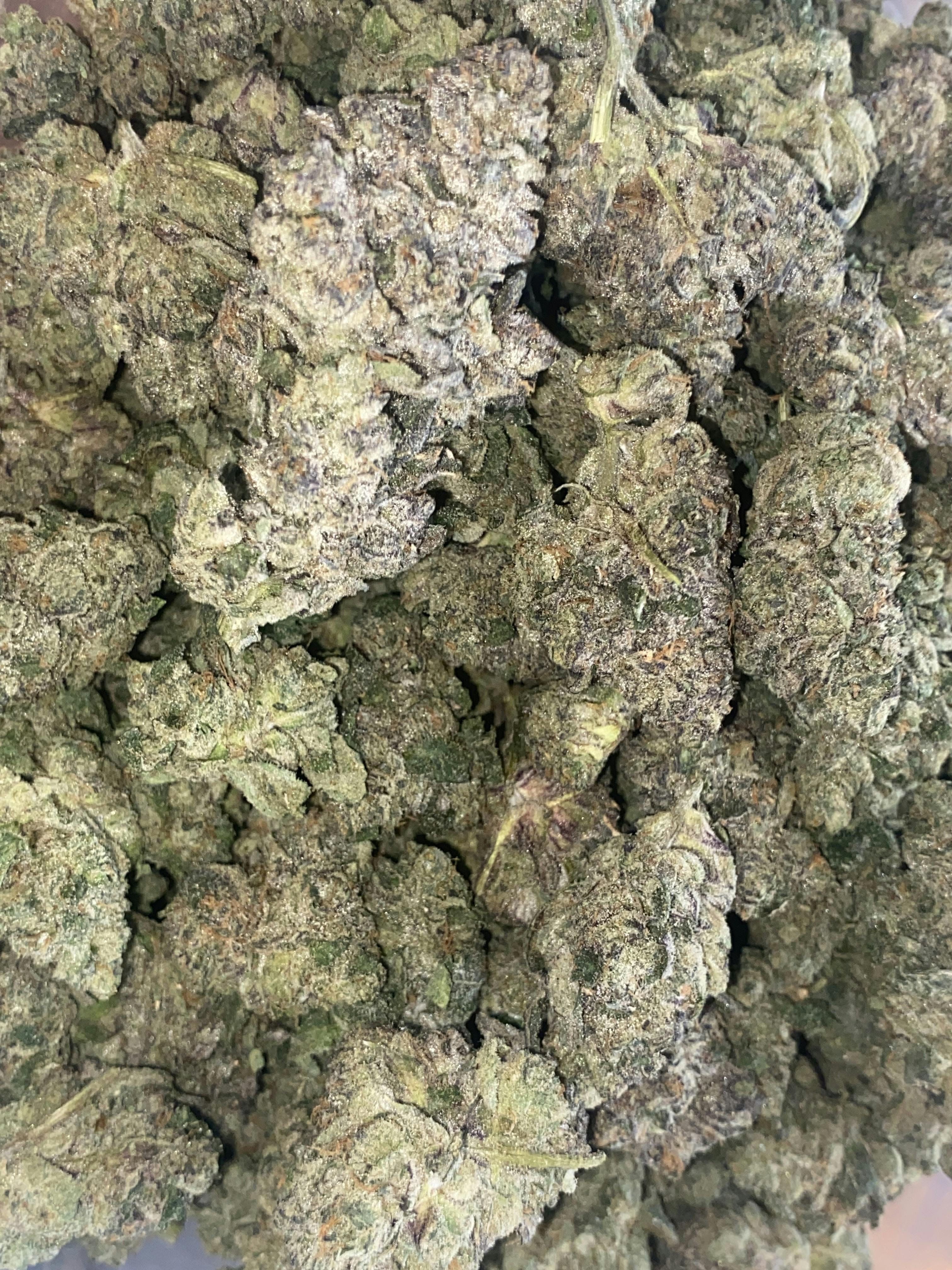 Gary Payton | Top Shelf Flower | 14g | STANKYY