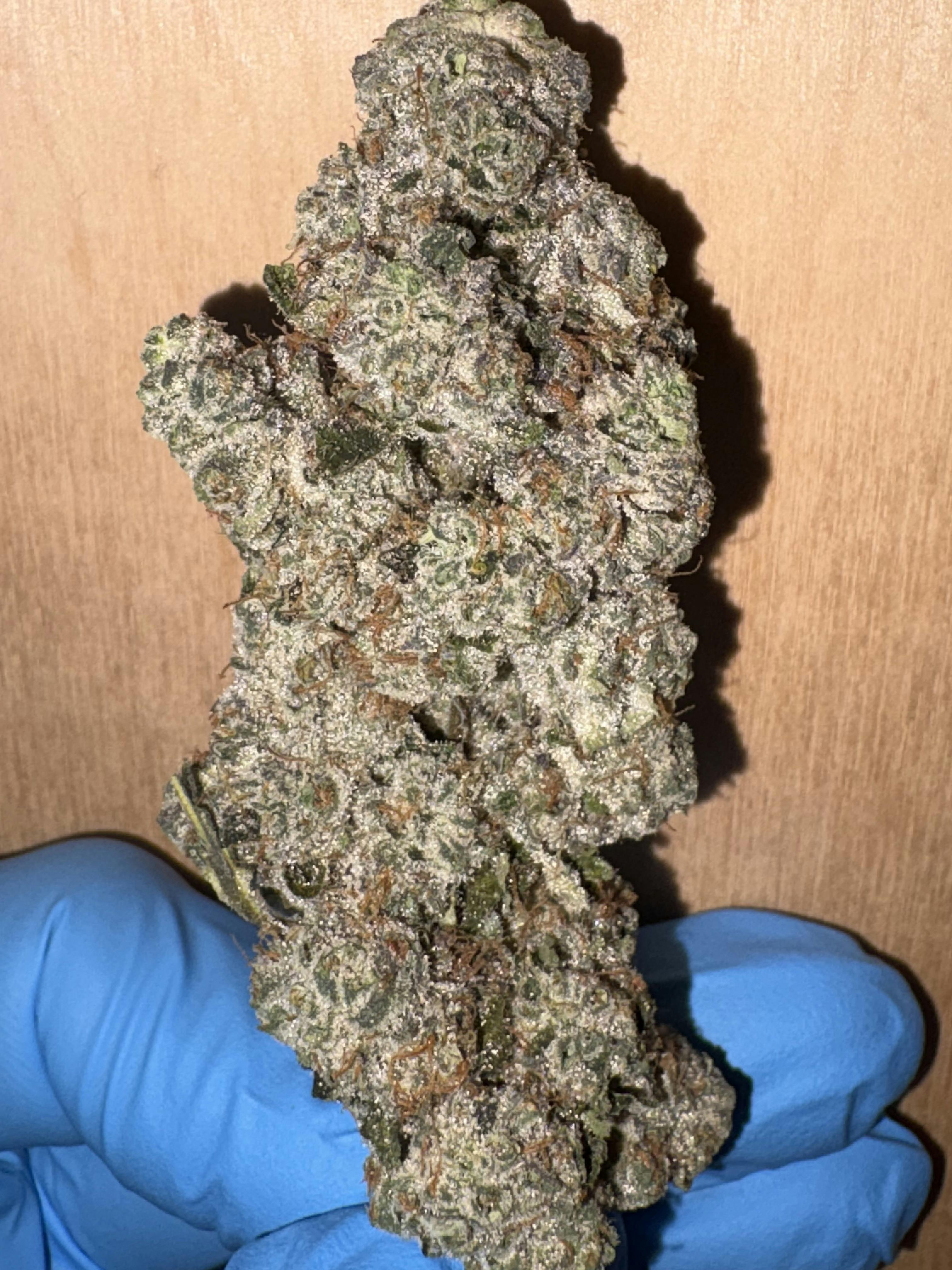 Banaconda | Top Shelf Flower