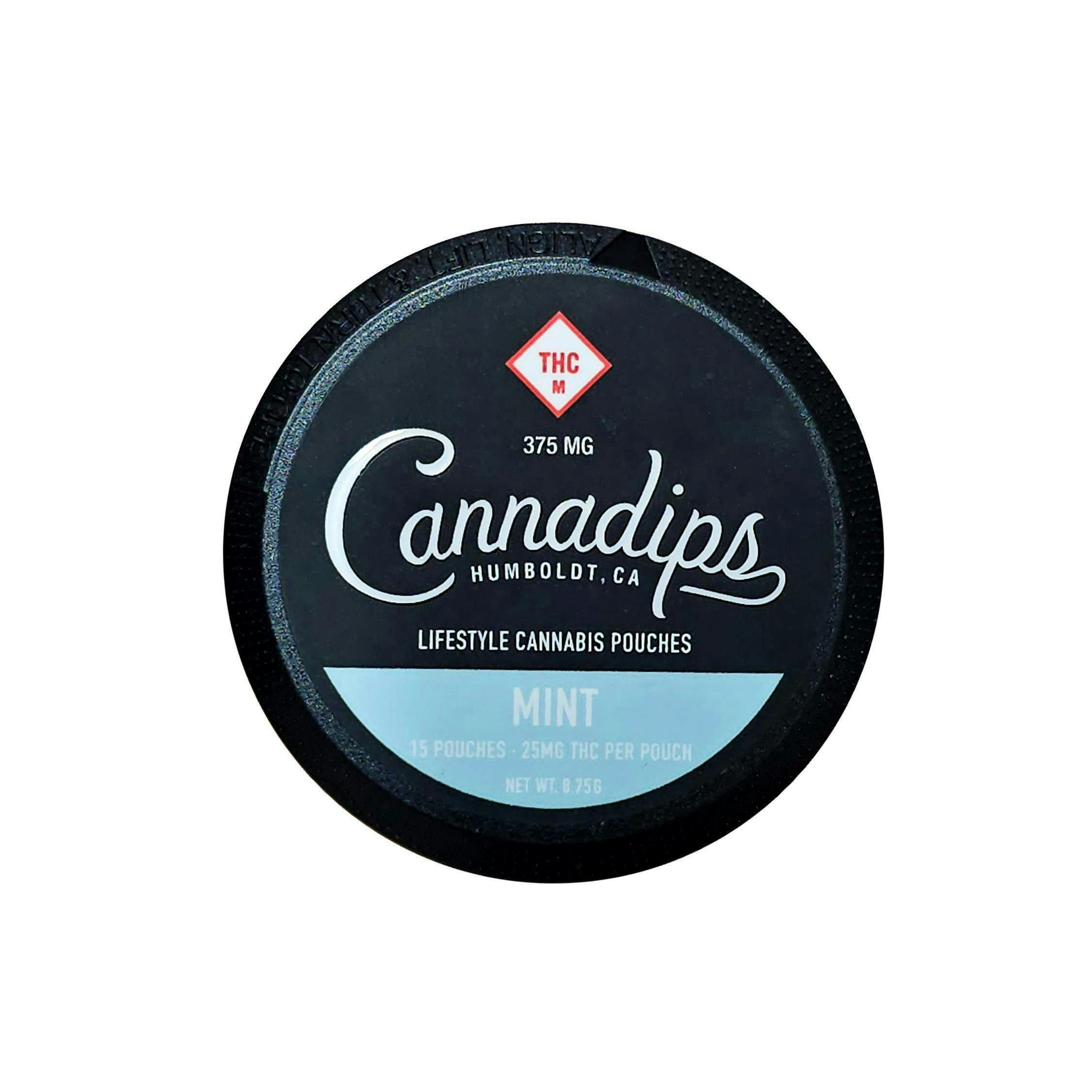 Mint | THC Pouches