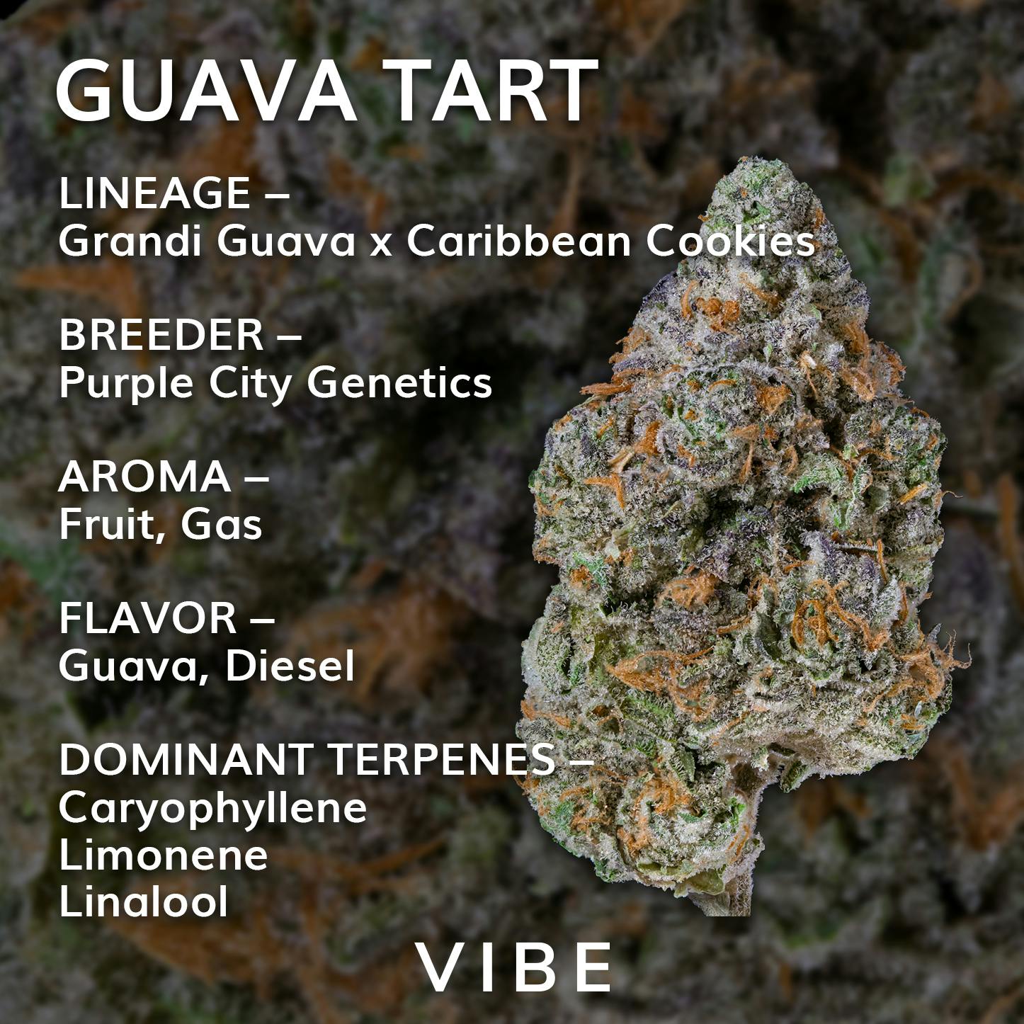 Guava Tart | Deli Popcorn