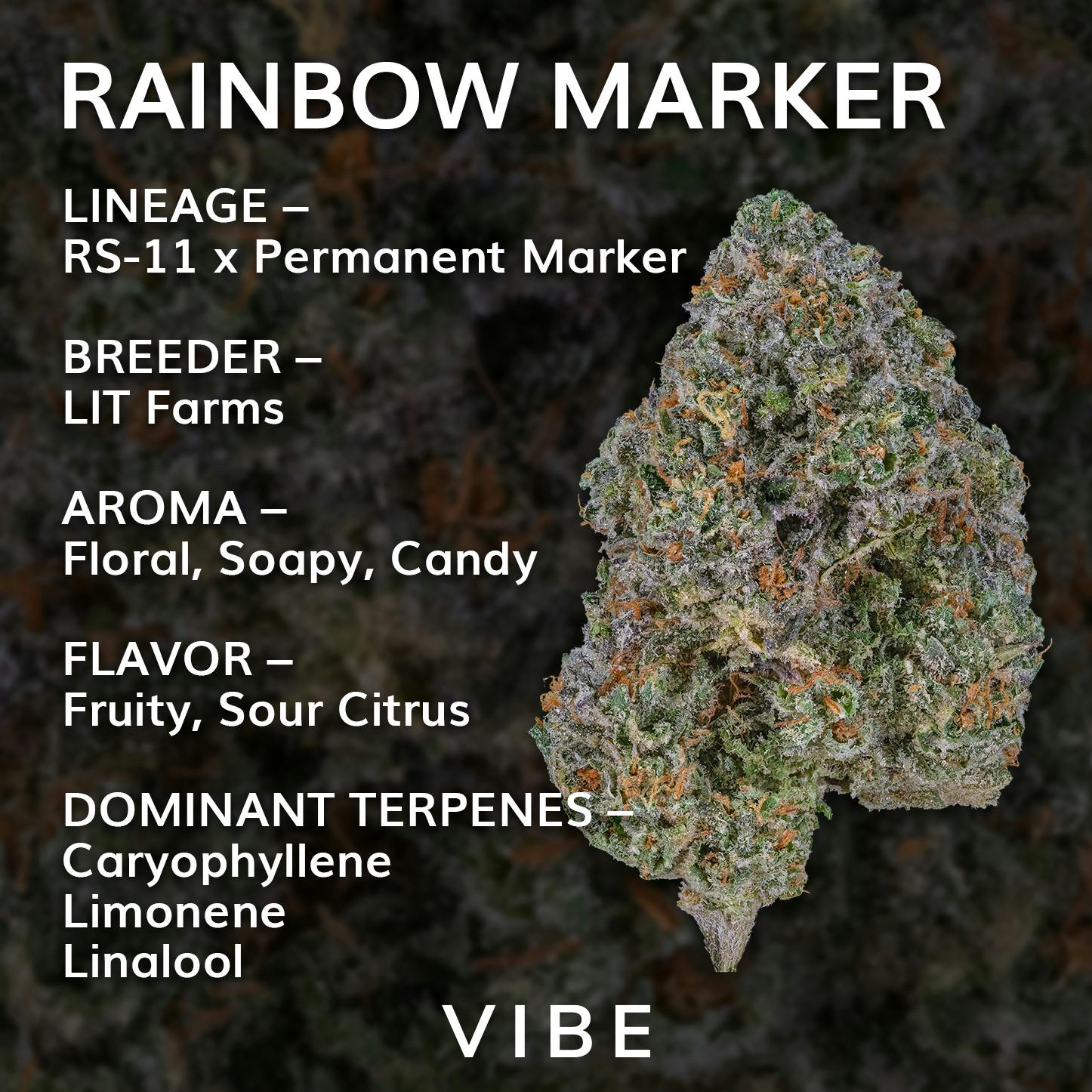 Rainbow Marker | Deli Popcorn