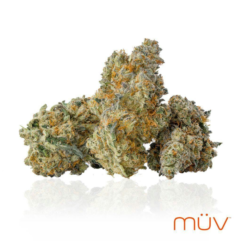 MÜV Applescotti 3.5g at MÜV Cannabis Dispensary