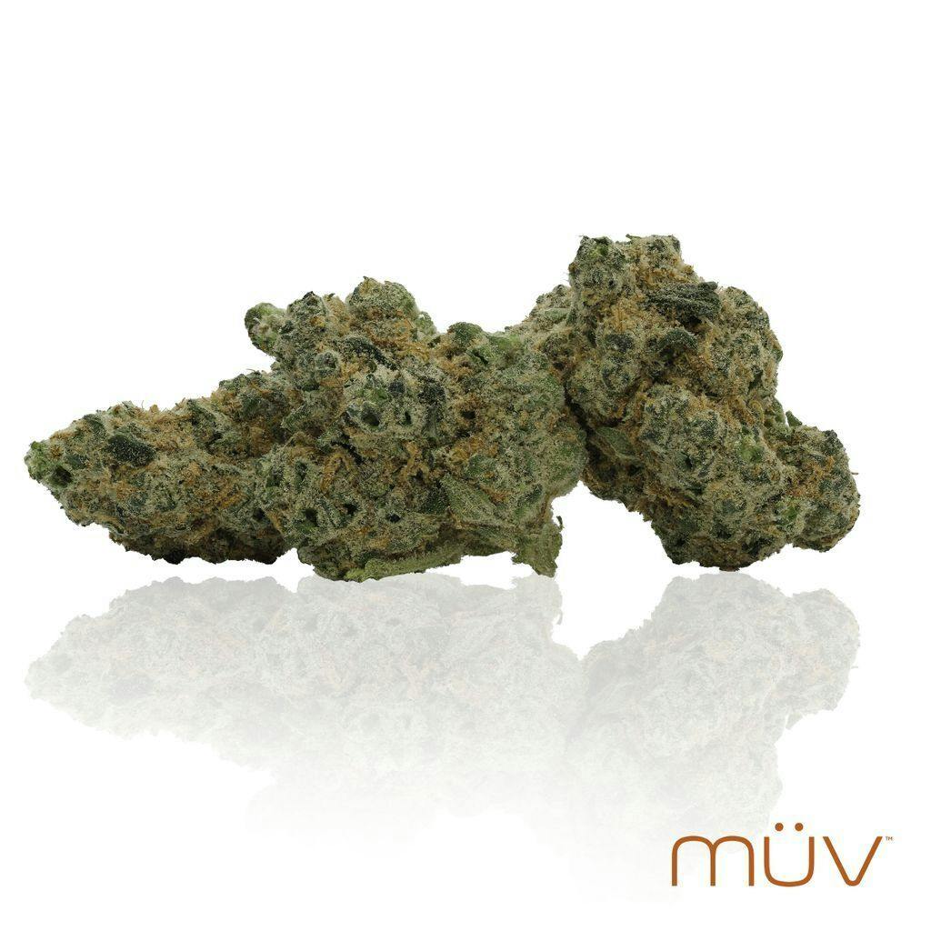 MÜV Dosi - Dos 3.5g at MÜV Cannabis Dispensary