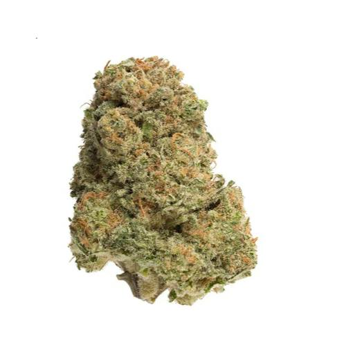 Homestead - Bandwagon Organic Indica (Rotating Cultivar) 7g >I