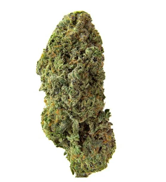 Homestead - Bandwagon Organic Sativa (Rotating Cultivar) 7g >S
