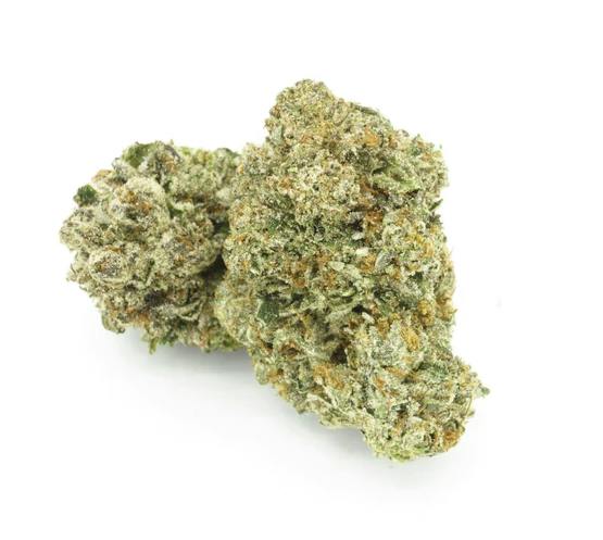 1964 - Comatose 3.5g >I