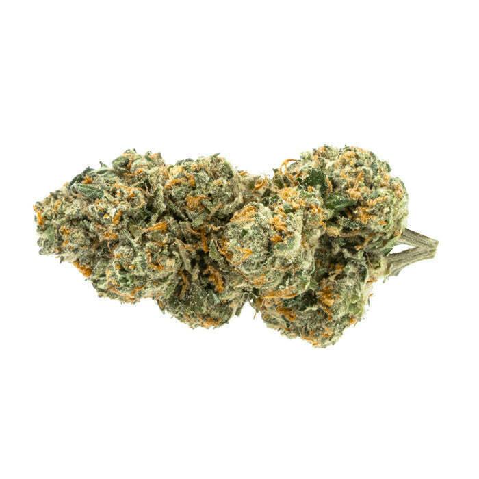 Pure Sunfarms - Trial No. 016 LTO 1x14g >H