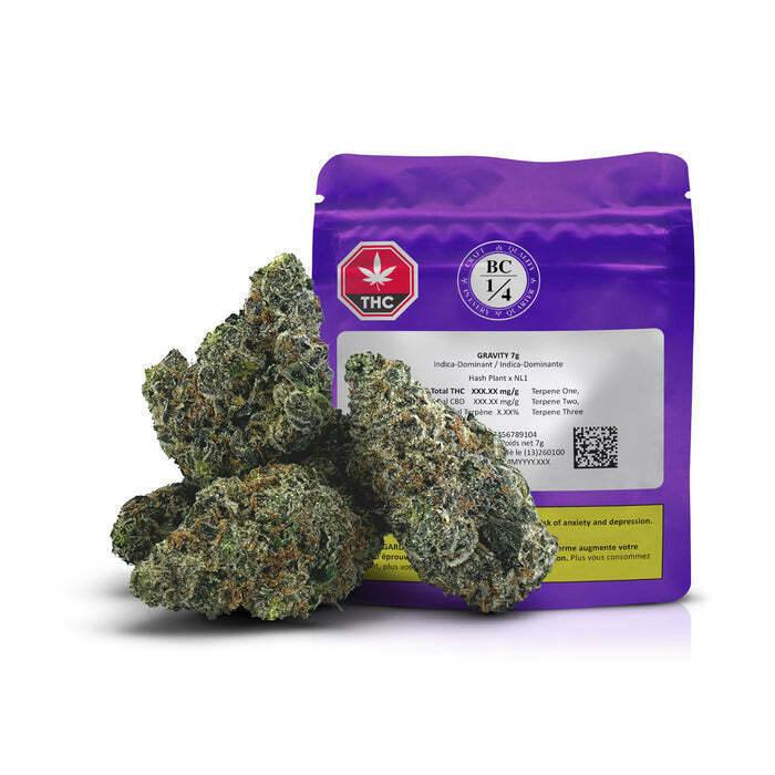 BC 1/4 OZ - Craft Gravity 1x7g >I