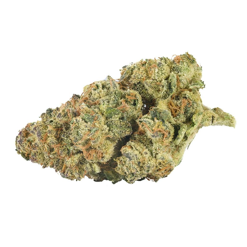 Back Forty - Mandarin Cookies - Sativa - 3.5g