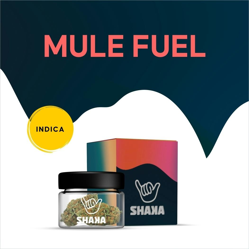 Shaka Prepack (1/8 oz) Mule Fuel