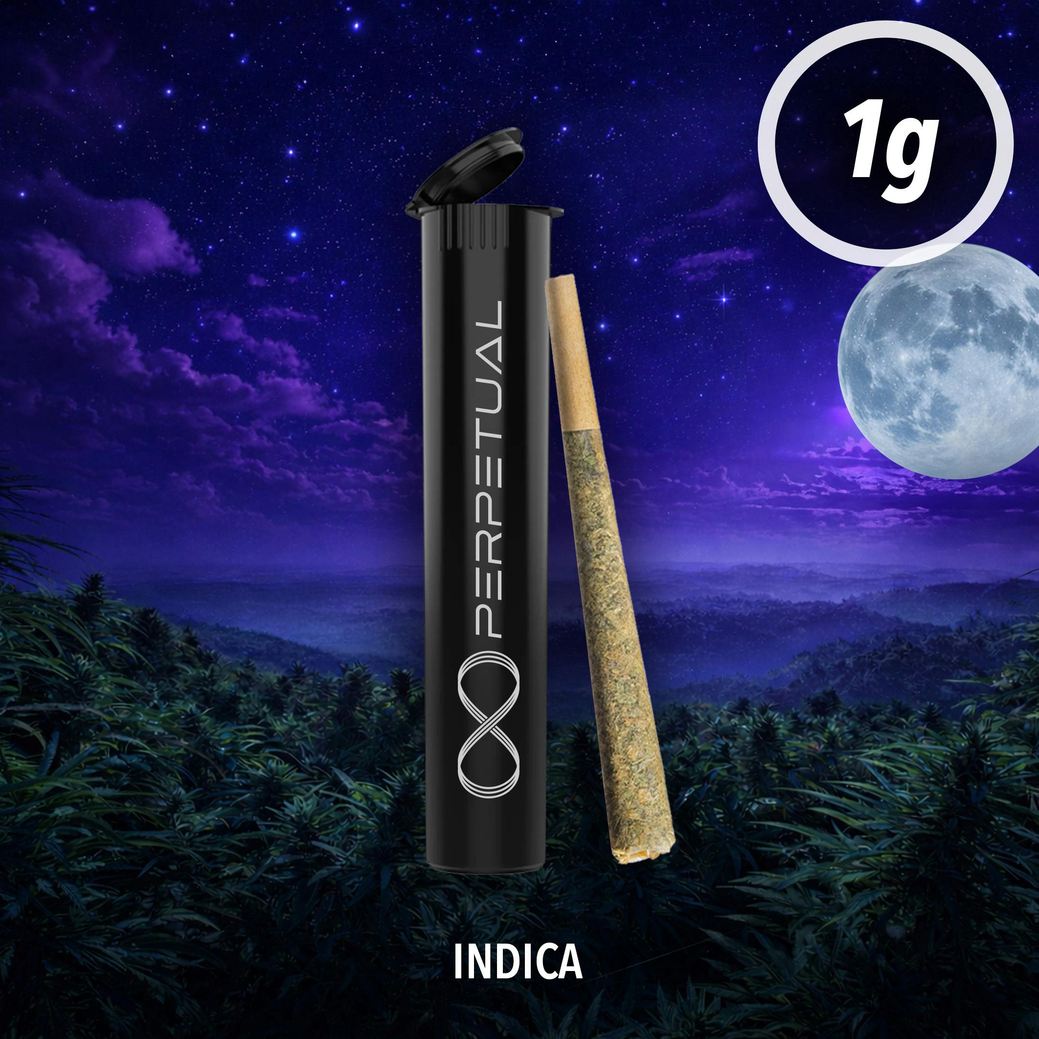 Perpetual PreRoll (1.0g) Pineapple Fruz