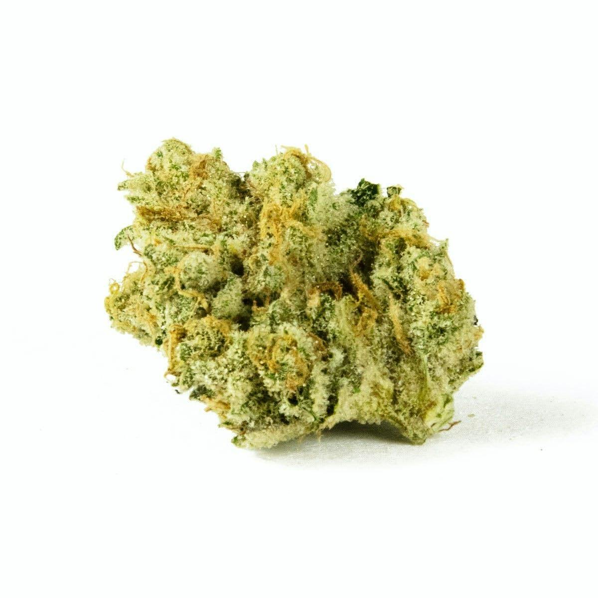 Voyager 1 (Sativa)