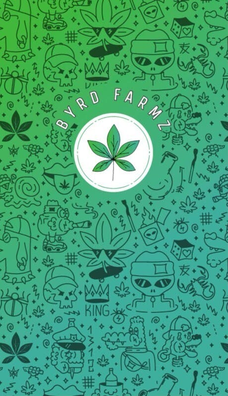 BYRD FARMZ -: Sour Diesel
