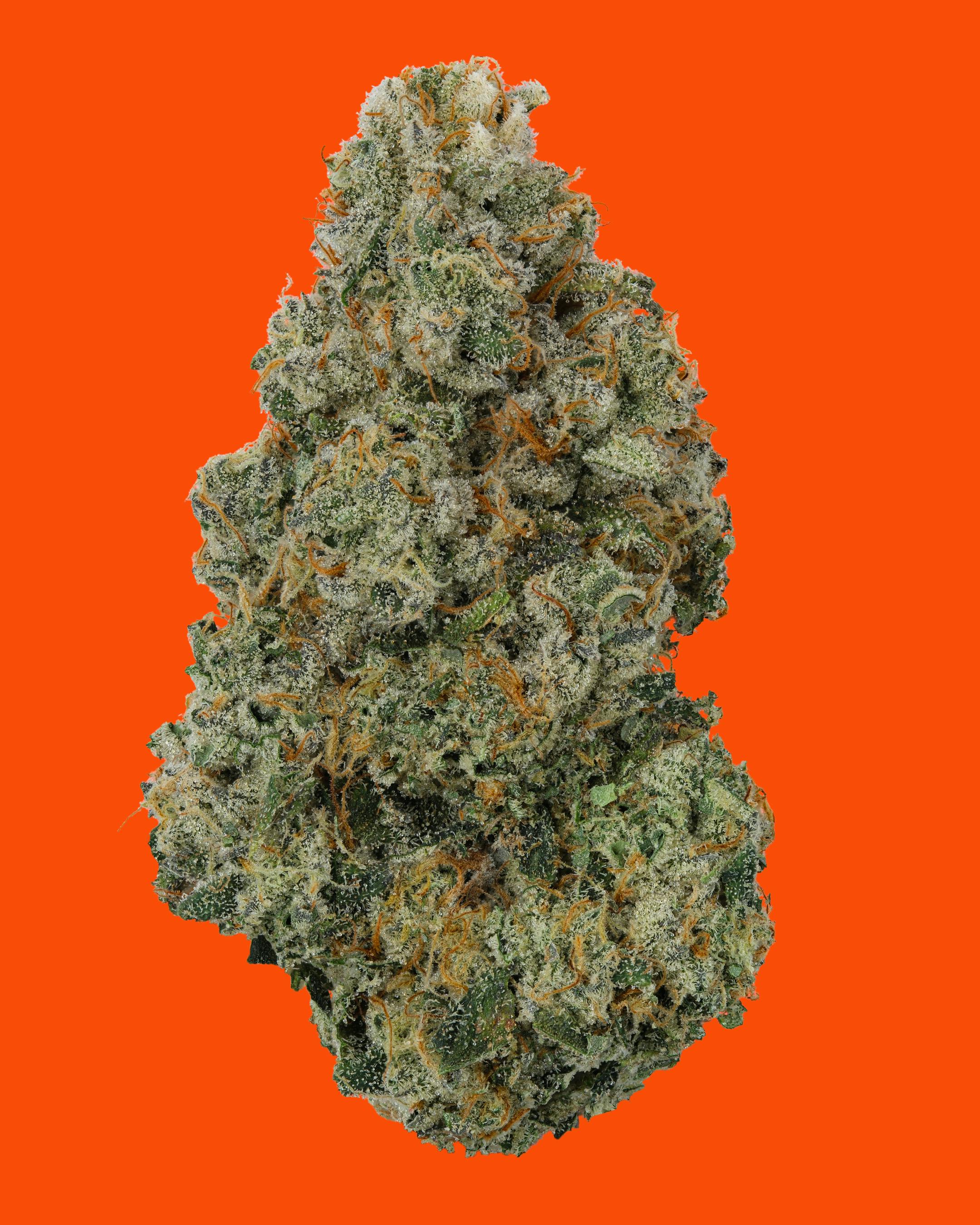 IC | Flower | Ziablo (I)