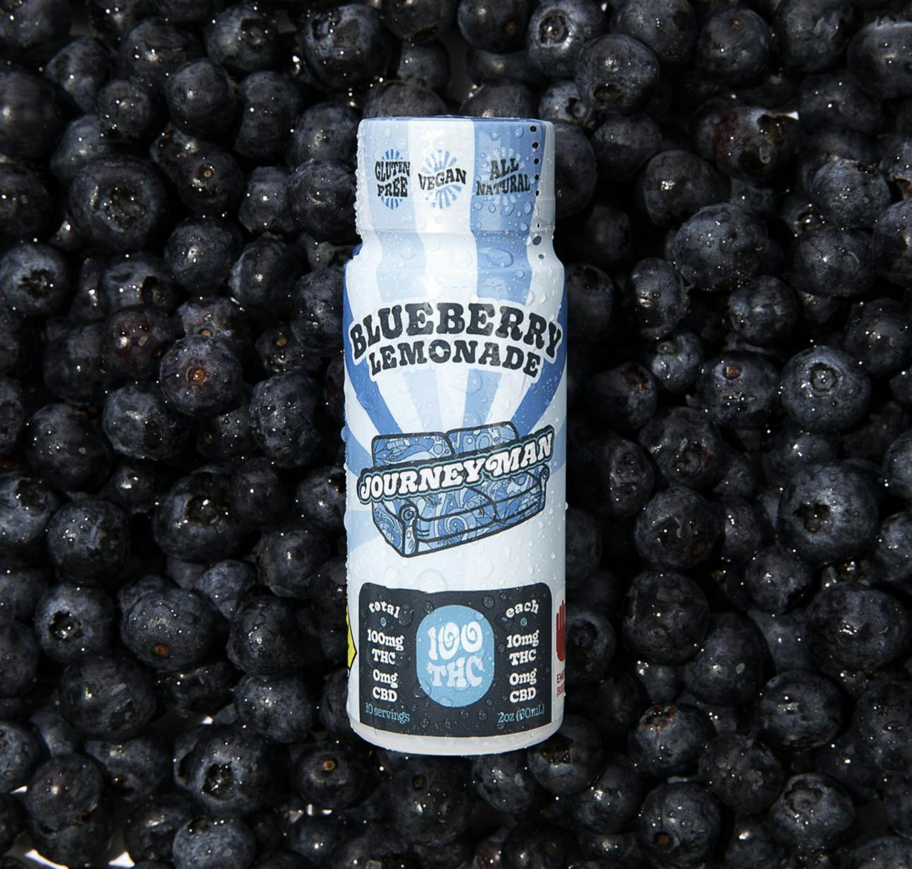 Blueberry Lemonade Shot [2oz]