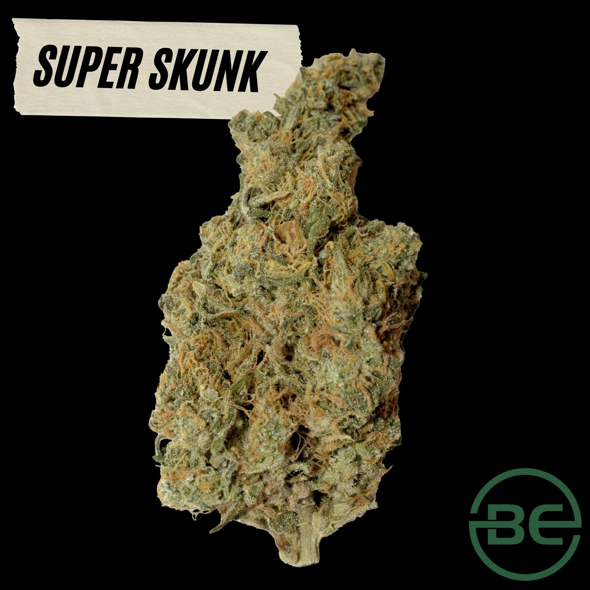 Be Cultivation Super Skunk