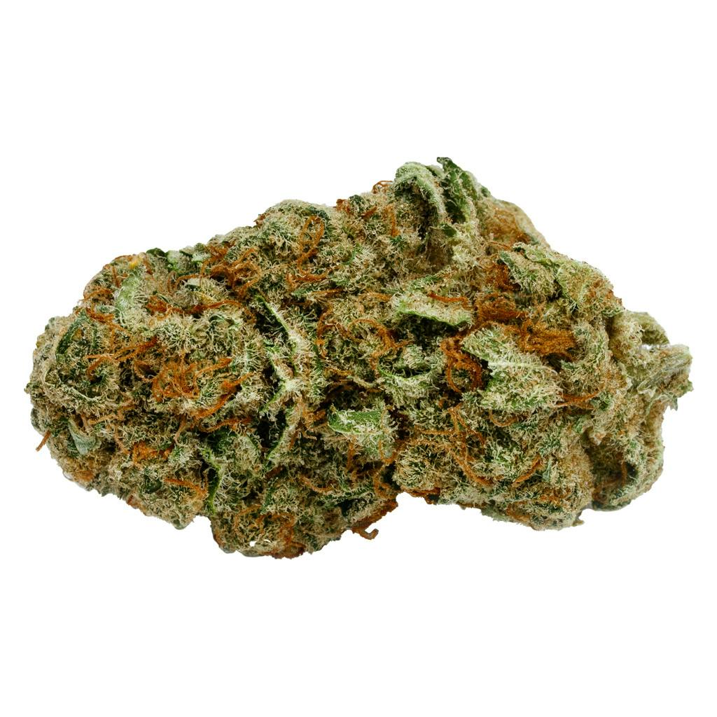 Pennywise 1:1 Hybrid - 3.5g