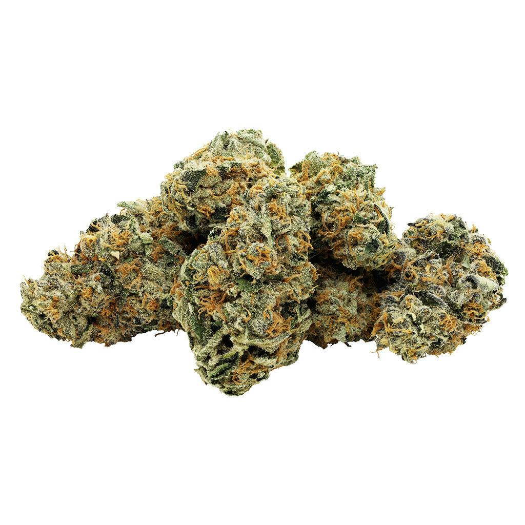 Star Chase 7g Dried Flower