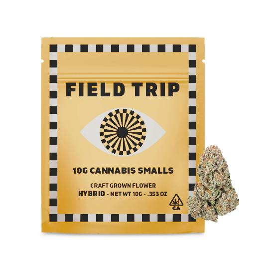 Field Trip Apple Tartz | Smalls 1pk | 10g