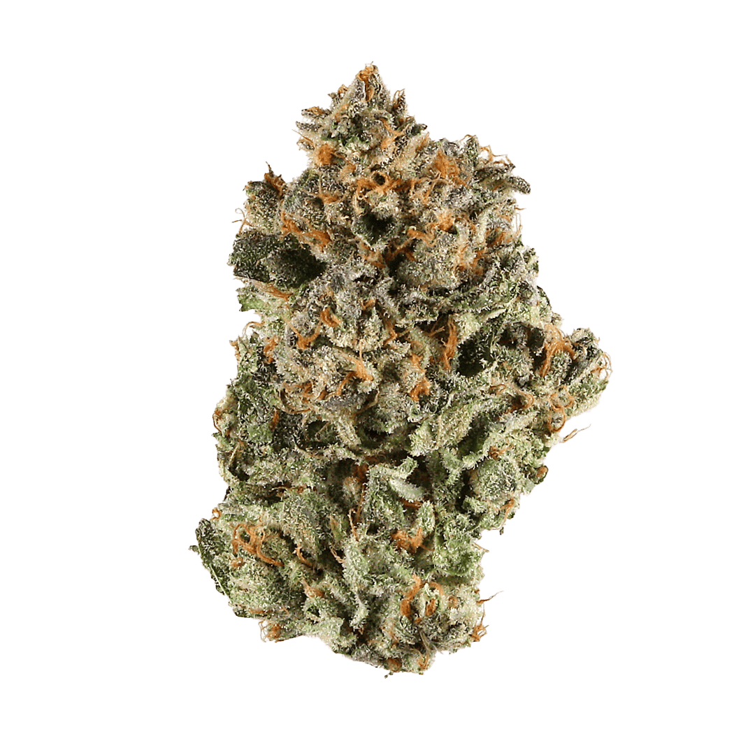 Fritter Runtz