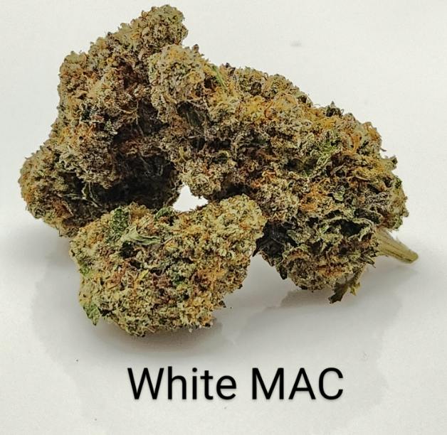 Del Mundo - White Mac